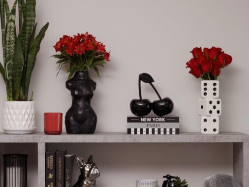 Dopamine Decor Pieces at Reasonable Prices