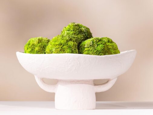 Product of the Week: White Textured Ceramic Bowl with Moss Balls