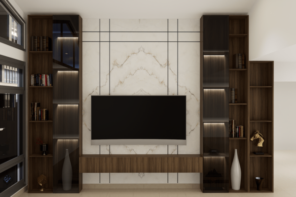 tv wall with library